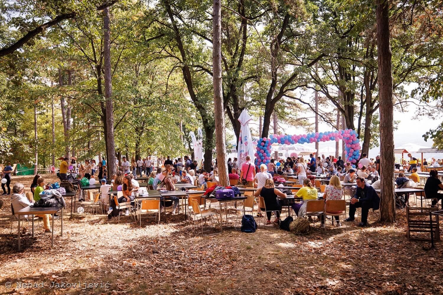 Atmosfera na festivalu