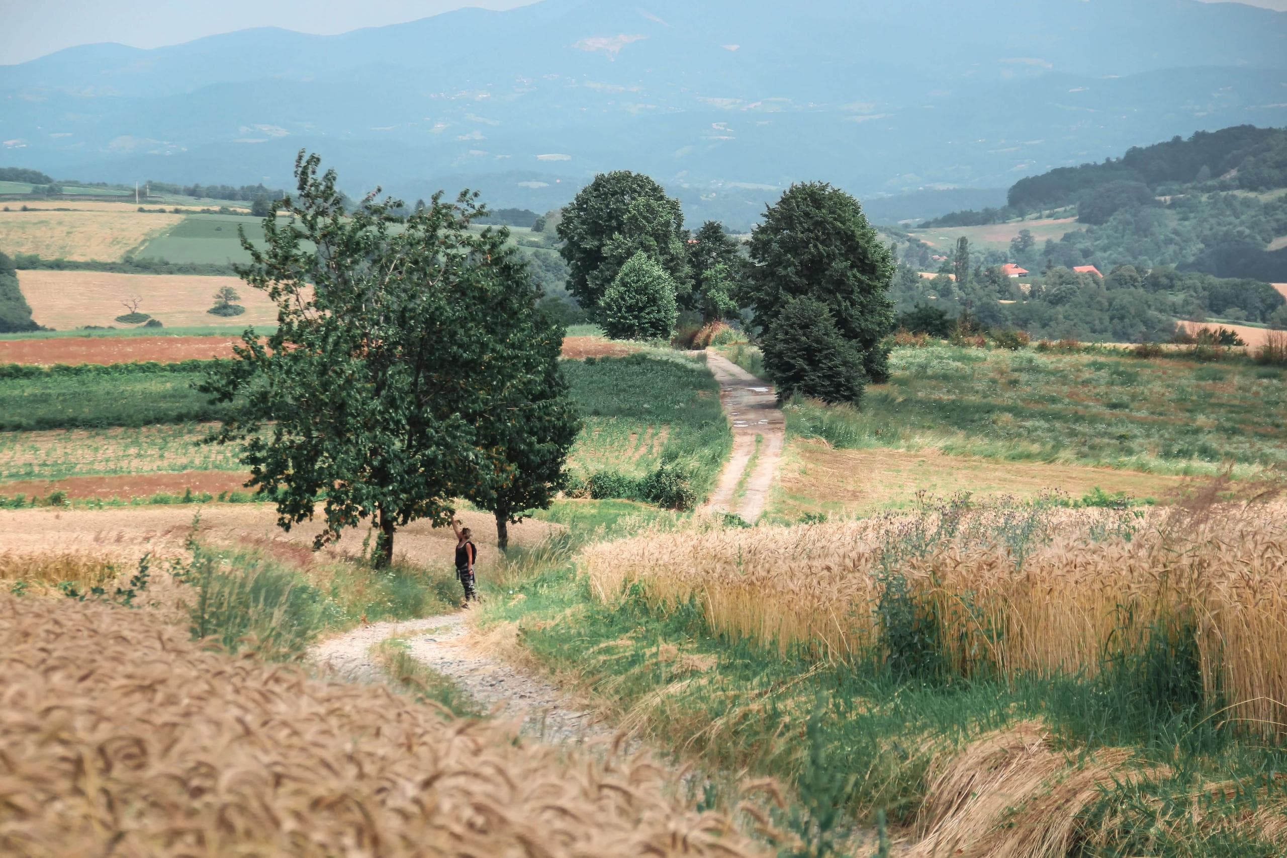 Hero Izletijada Image
