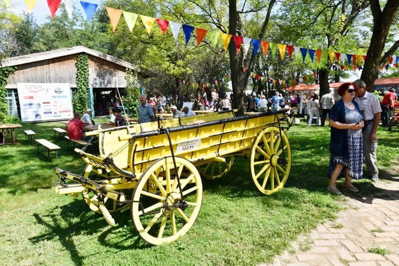 Rogalj 2025 - Bean Festival