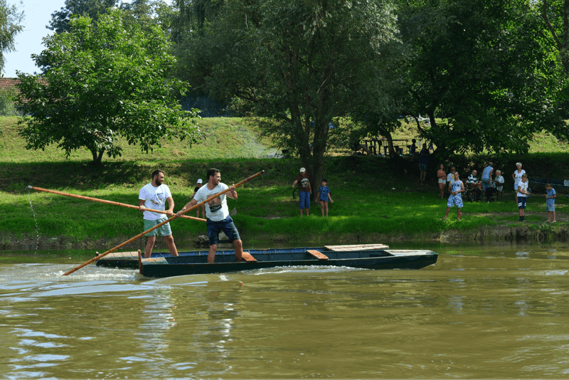 Trstenik na Moravi